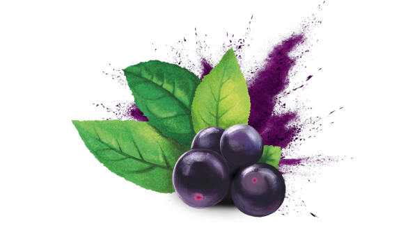 High quality maqui berry extract, for dry eyes