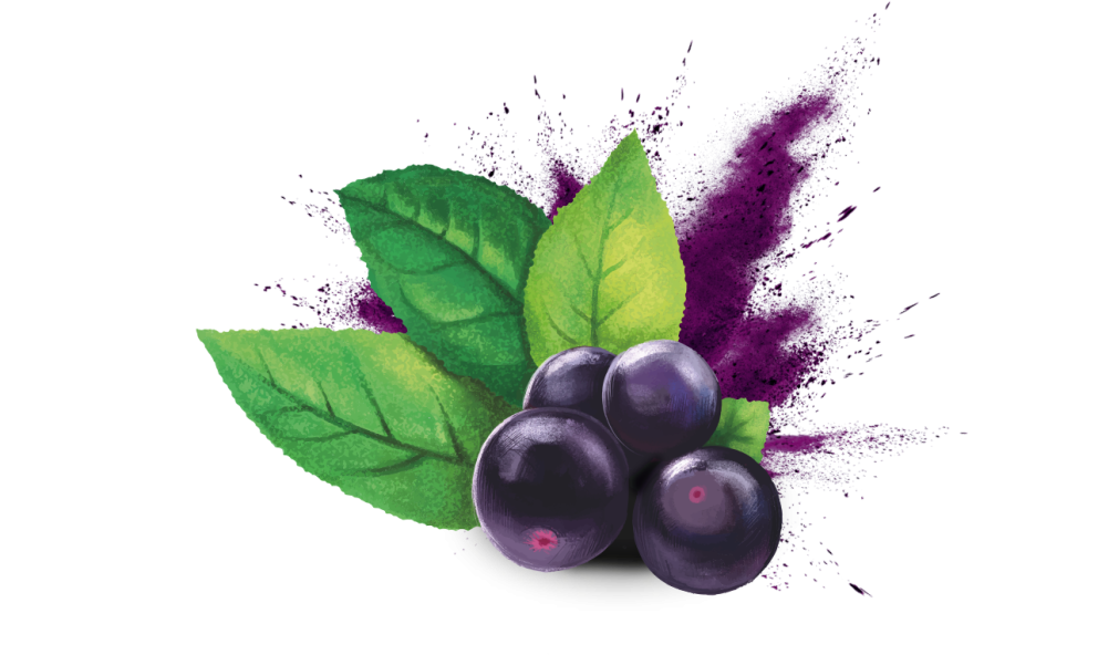 Maqui Berry for Dry Eyes